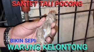 SANTET TALI POCONG ?! BIKIN SEPI WARUNG KLONTONG 