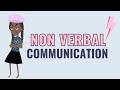 Understanding Non-Verbal Communication