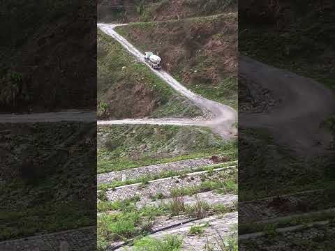 When it comes to driving skills, no one dares to claim first place #short #car