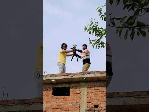 #funnyvideo #shorts