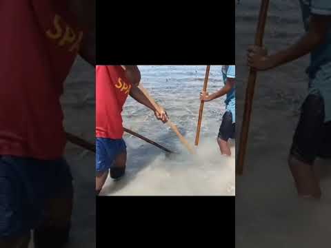 Mengingat waktu bocil?#shorts #funny #fishing #ikan