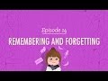 Memory and Misinformation Concepts