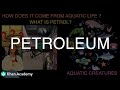 Petroleum Products and Their Uses