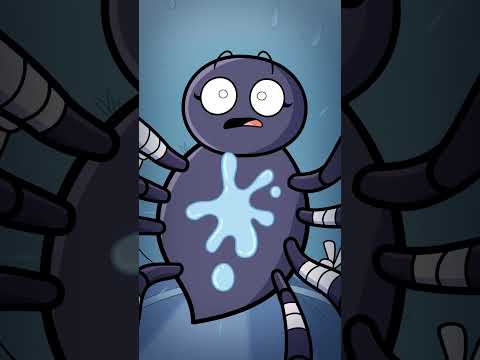 The Itsy-Bitsy Spiders