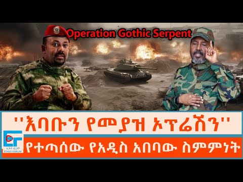 የተጣሰው የአዲስ አበባው ስምምነት፤ ''እባቡን የመያዝ ኦፕሬሽን''|ETHIO FORUM