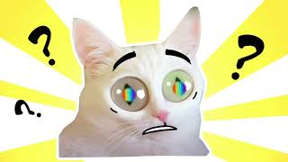 Friday Night Funkin' vs. Reality! Cute Kittens to ❤️ | BATTLE | ANIMATION COMPLETE EDITION | GAMETIK
