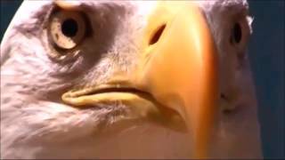 Trump Fan Network Video