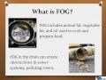 FOG Management and Environmental Impact