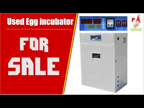 Used egg incubator for sale craigslist