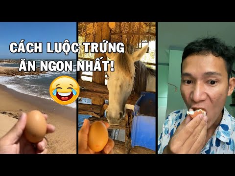 Lâm Vlog Cách Luộc Trứng Ăn Ngon Nhất Thế Giới! | Lâm Vlog Video Ngắn #Shorts 40