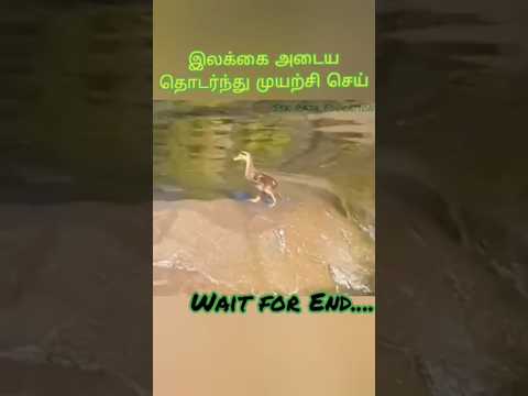 முயற்சி செய்தால் எதுவும் சுலபம் தான் #aim #motivation
