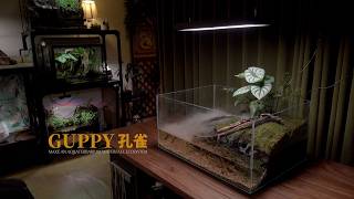 DIY Guppy Fish Aquaterrarium … But Their New Roommate Is a Turtle?!