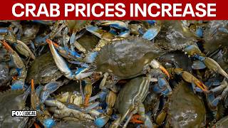Crab prices up despite population increase
