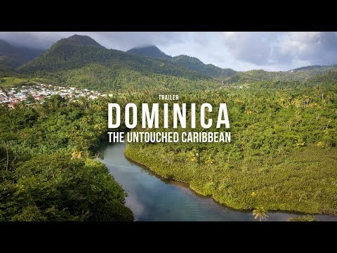 DOMINICA: The amazing nature of this Caribbean Island Cinematic