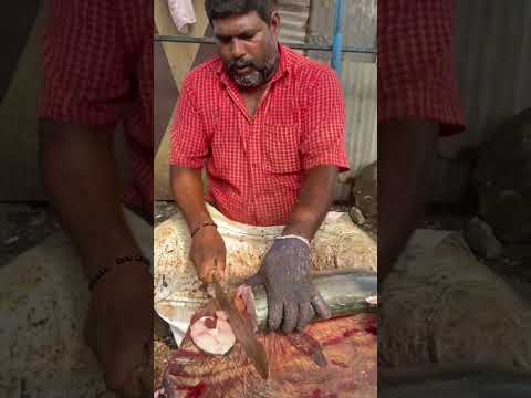 😳4500 ரூபாய்க்கு 8 கிலோ வஞ்சரம்🐠மீன் காசிமேட்டில் ஏலம்⁉️#shorts #kasimedu #fish