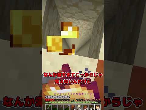 誰も知らないマイクラのミニチュアの秘密！【まいくら・マインクラフト】#shorts