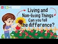 Living vs Non-Living Things