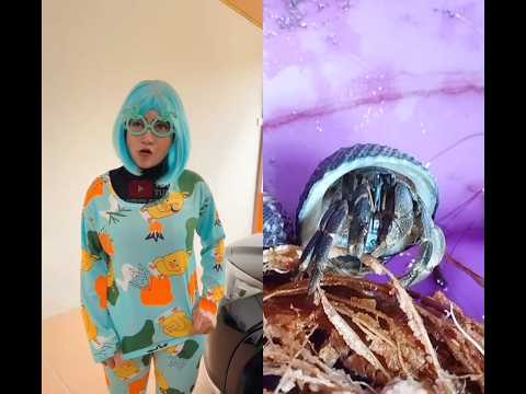 IHHH, SISKA NGAKU NGAKU BONEKA PUNYA NUR #nurrayni25 #nurrayni25real #trending