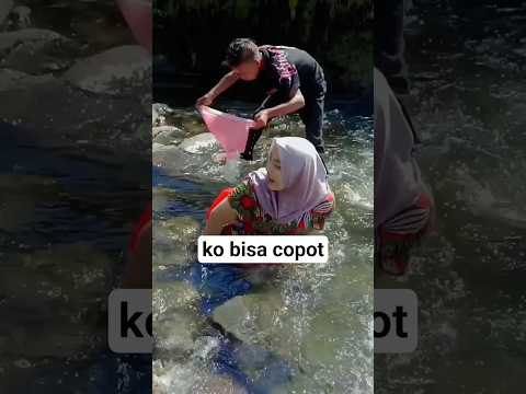 LEPAS SENDIRI #bodorsundaterbaru #bodoransundangakak #sawah #bodorsunda