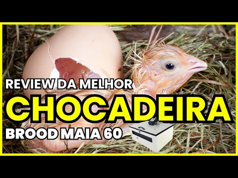 Review Completo da Chocadeira MAIA 60 – Alta Tecnologia e Resultados Incríveis!