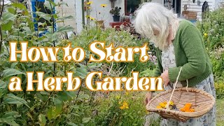 How to Start a Herb Garden