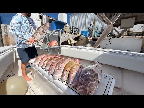 Spearing Fish For The Market | How Much It Pays $$$