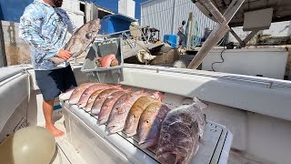 Spearing Fish For The Market | How Much It Pays $$$