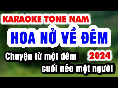 Karaoke HOA NỞ VỀ ĐÊM Tone Nam p3 – Chuyện từ một đêm cuối nẻo một người | Karaoke Organ 9669