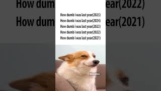 every year