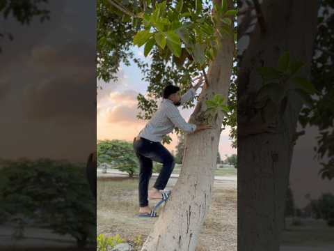 اللي يطلع الشجرة ياخد 10 مليون!😱