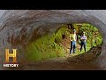 Paleoburrows and Their Significance