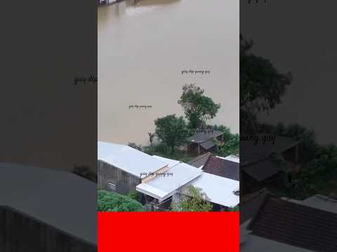 người dân kể lại quá trình thót nạn quá súc động #shorts