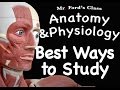 Muscle Anatomy and Learning Techniques