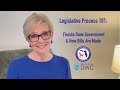 Understanding Florida Legislative Processes