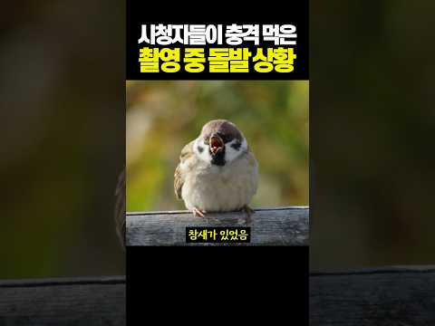 시청자들이 충격 먹은 촬영중 돌발 상황