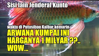 SISI LAIN JENDERAL KUNTO DI PUTUSIBAU KALBAR " IZIN BAPAK ADA IKAN ARWANA HARGANYA 1 MILYAR WOW