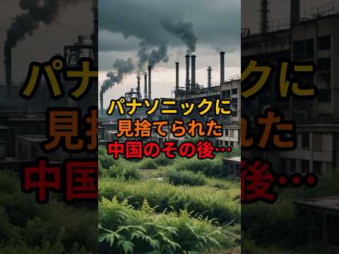 パナソニックに見捨てられた中国のその後…