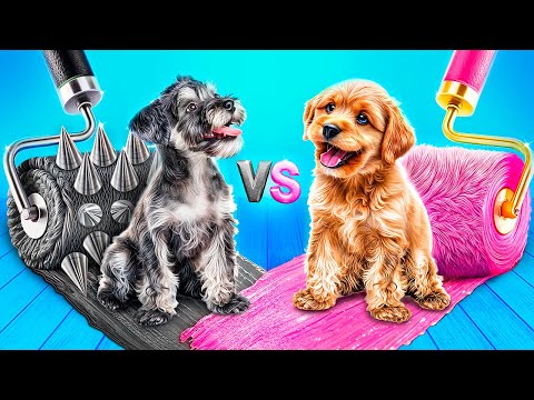 Einfarbige Haus-Challenge für Hunde! Pink vs Schwarz! Wir bauen winzige Häuser für Haustiere!