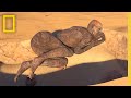 Gabileen Mummy Discovery Insights