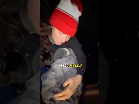 Chaotic -12°C Night in Tiny Truck Home, it FROZE over inside!