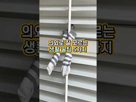 집게로 블라인드 청소를 한다구요?!  #봄집사