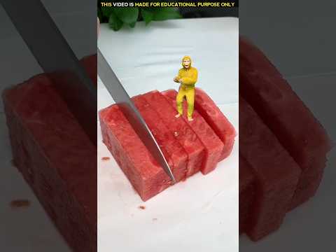 monkey food watermelon 🍉🐒| New Viral Gadgets, Smart Appliances, Kitchen Utensils/ Home Inventions
