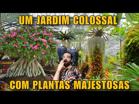 Visitei Jardins que não Parecem Reais - Eu nunca vou esquecer das plantas que eu vi - TAILÂNDIA