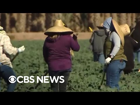 YouTube video thumbnail: Group of California Farm Workers Announce 3-day Strike, Call for end of ICE Raids