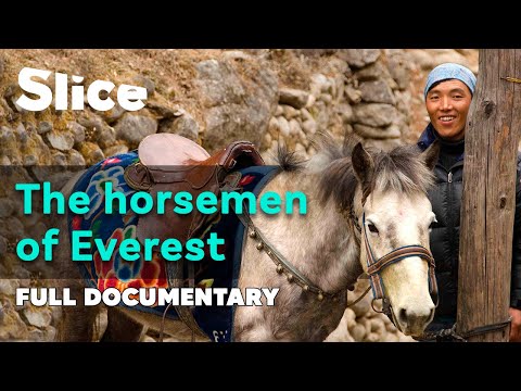 YouTube video thumbnail: The Master of High Altitudes: Starting a Business on Mount Everest