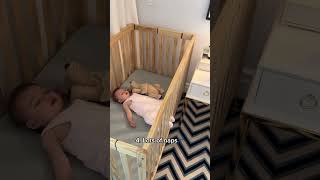 12 Things our Baby and Dog Did on Vacations!