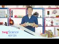 Testing Safety Mechanisms in Model Cars