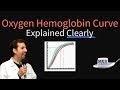 Hemoglobin Function and Binding Dynamics