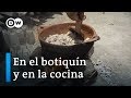 Conocimientos y Críticas de Marichuy