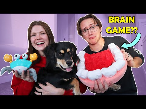 Testing WEIRD and USEFUL Dog Products!